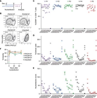 Naïve Primary Mouse CD8+ T Cells Retain In Vivo Immune Responsiveness After Electroporation-Based CRISPR/Cas9 Genetic Engineering